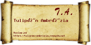 Tulipán Ambrózia névjegykártya